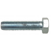 ZINC SCREW   HM 10X50  CL8.8 