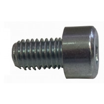 ZINC SCREW  CHC 8X10