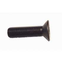 SCREW   TFHC 16X140 CL10.9